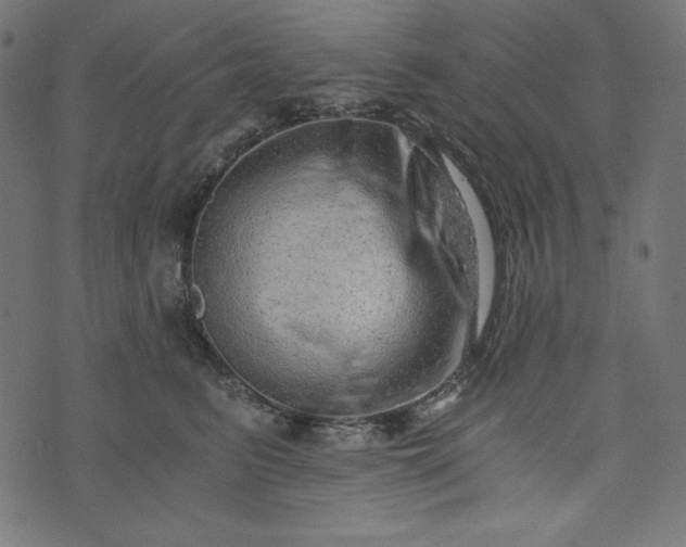 X0000073700615200608171115