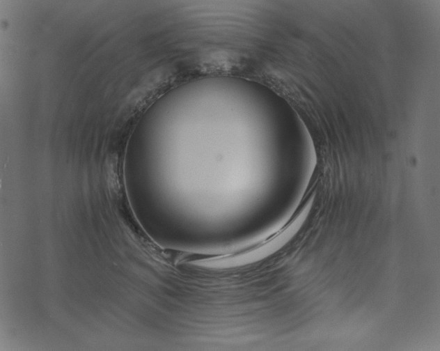 X0000073700616200608171115