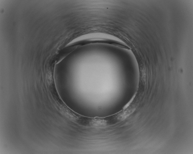 X0000073700617200608171115