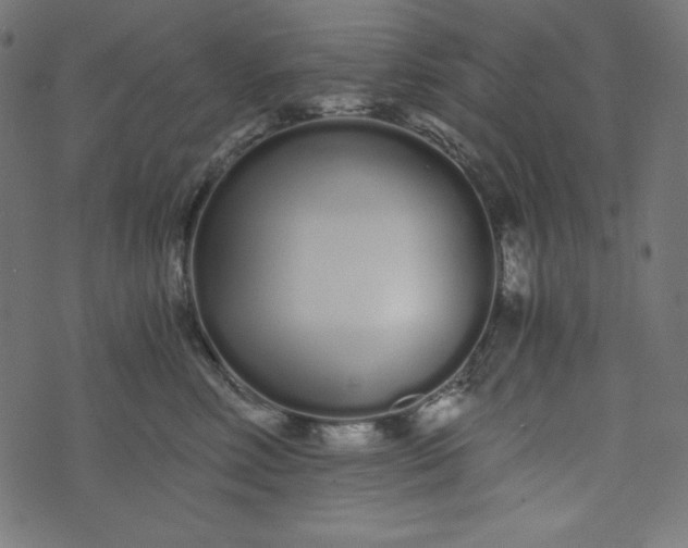 X0000073700618200608171115