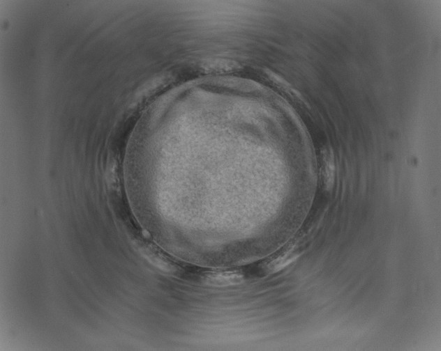 X0000073700619200608171114