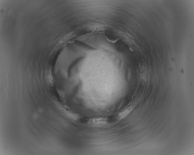 X0000073700622200608171114