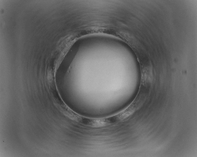 X0000073700623200608171114