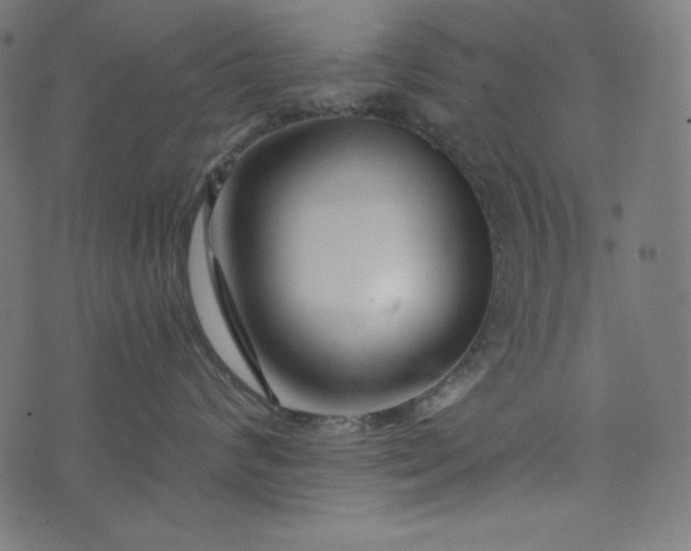 X0000073700624200608171114