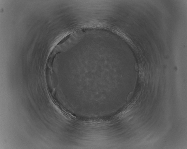 X0000073700626200608171114