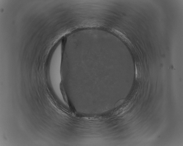 X0000073700627200608171114