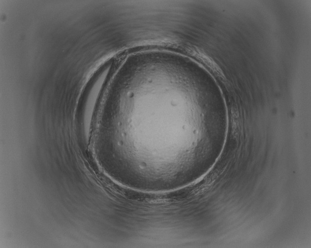 X0000073700628200608171114