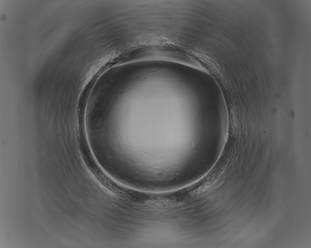 X0000073700630200608171114