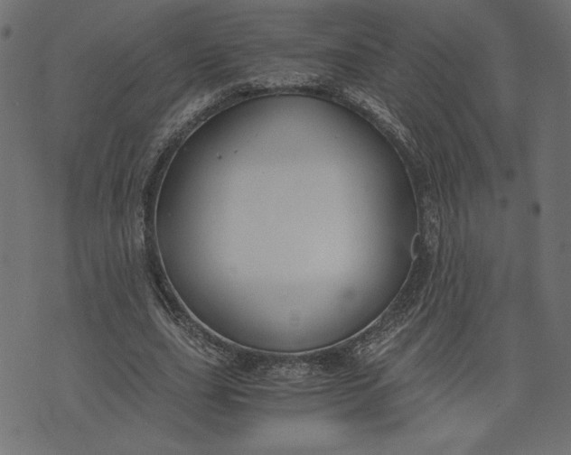 X0000073700631200608171114