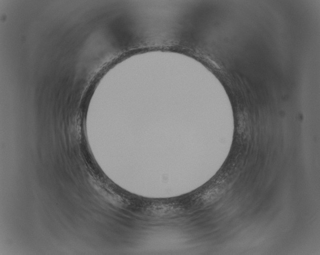 X0000073700632200608171114