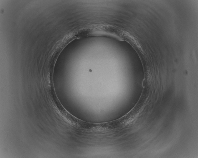 X0000073700633200608171114