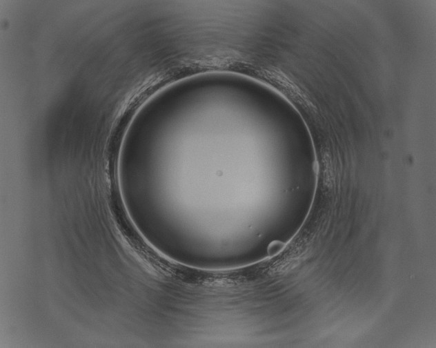 X0000073700634200608171114