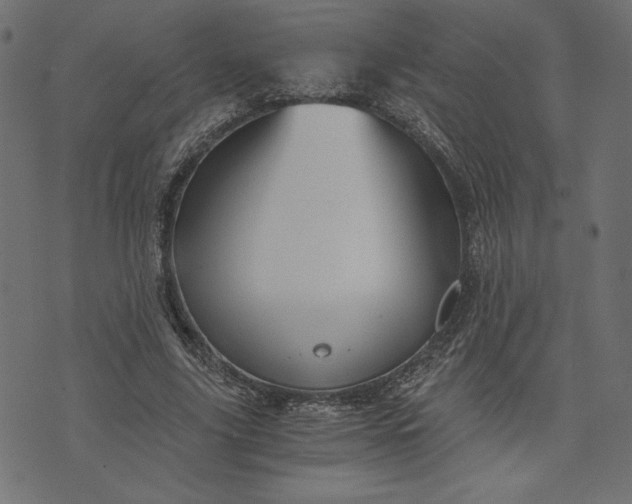 X0000073700635200608171114