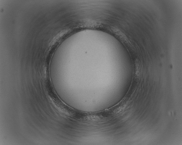 X0000073700636200608171114