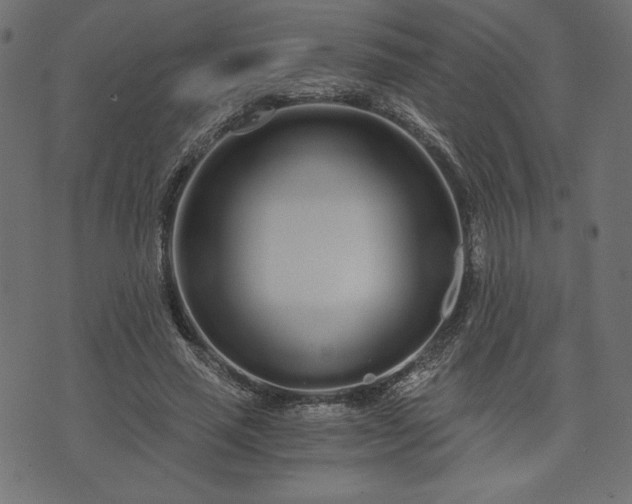 X0000073700637200608171114