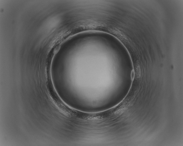 X0000073700638200608171114