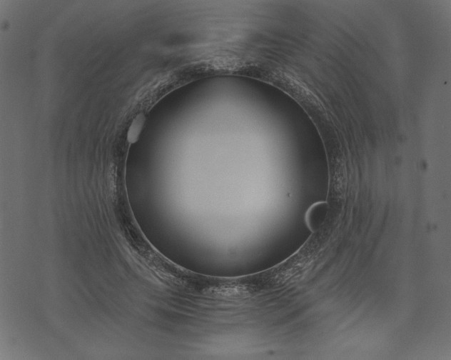 X0000073700639200608171114