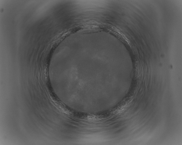 X0000073700641200608171114