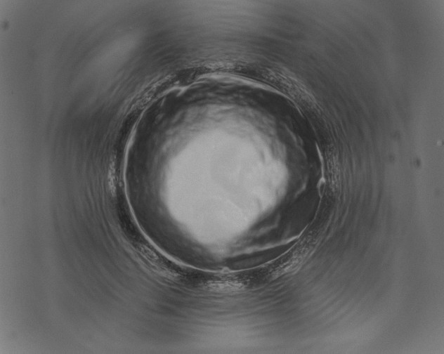 X0000073700644200608171114