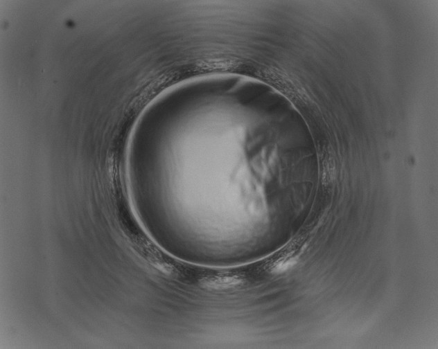 X0000073700647200608171114