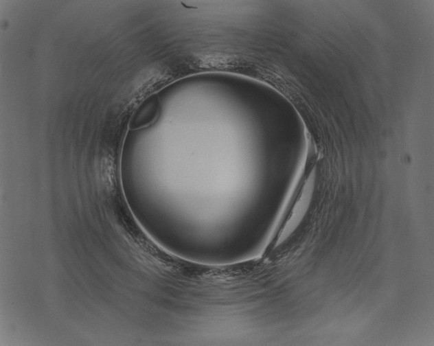 X0000073700648200608171114