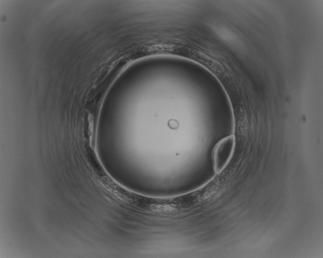 X0000073700649200608171114