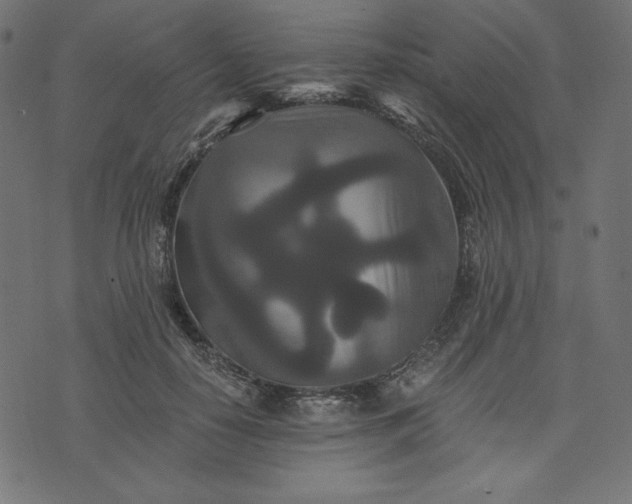 X0000073700650200608171114