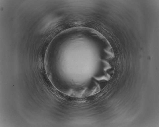 X0000073700651200608171114