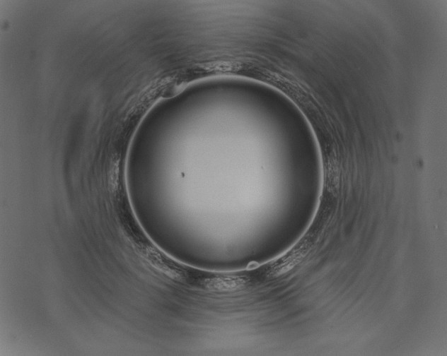 X0000073700652200608171114