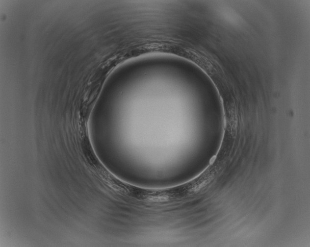 X0000073700653200608171114