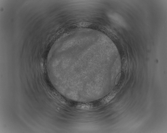 X0000073700655200608171114