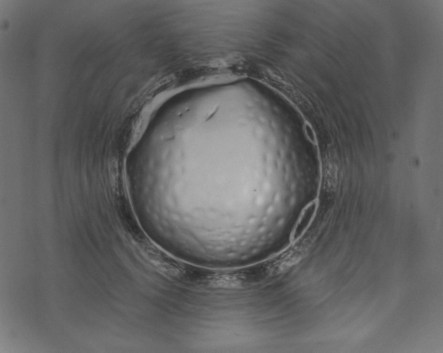 X0000073700656200608171114