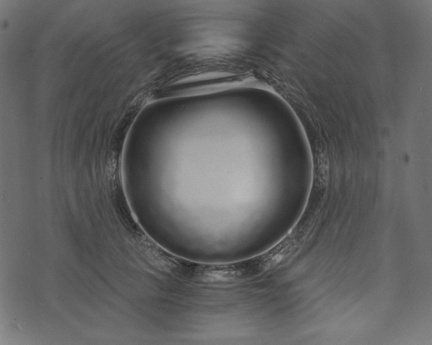 X0000073700657200608171114