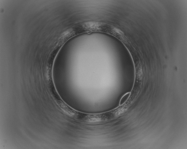 X0000073700658200608171114