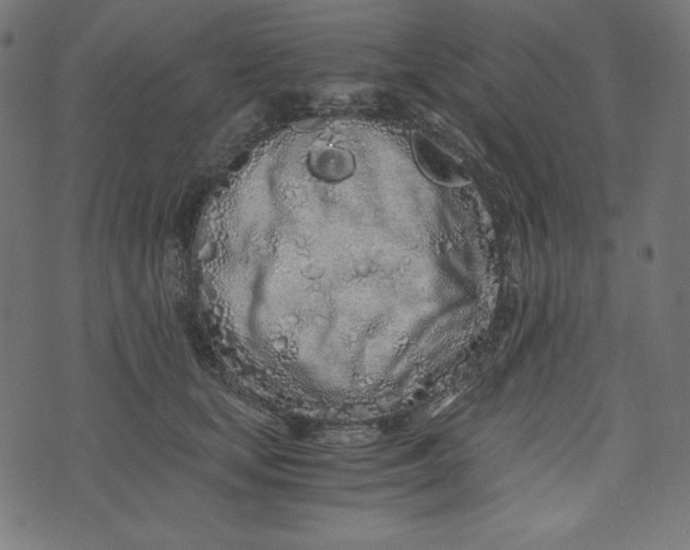 X0000073700659200608171114