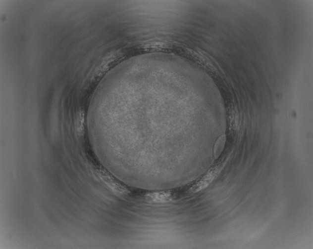 X0000073700660200608171114