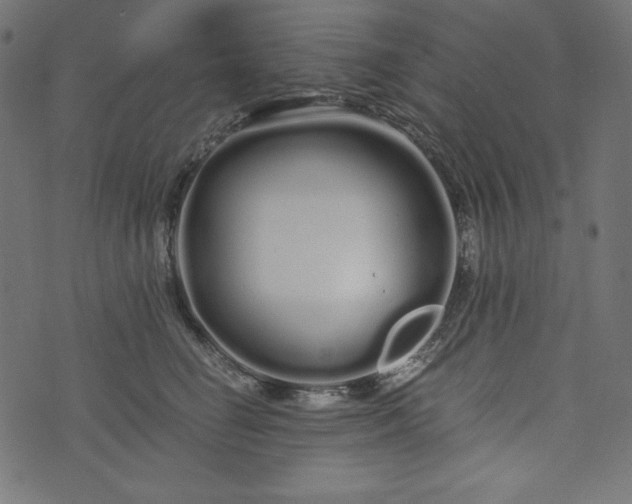 X0000073700662200608171114