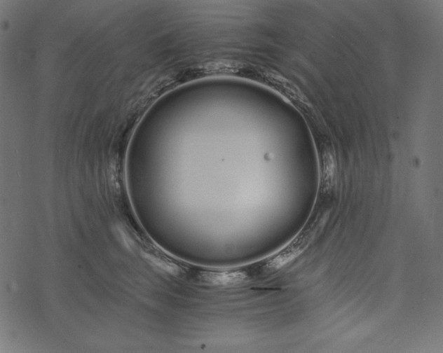 X0000073700663200608171114