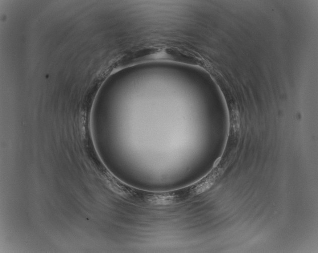 X0000073700664200608171114