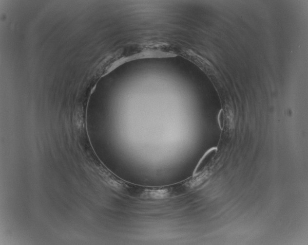 X0000073700665200608171114