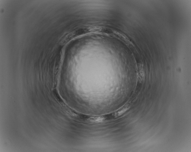 X0000073700667200608171114