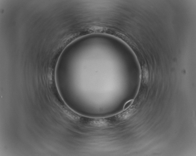 X0000073700668200608171114