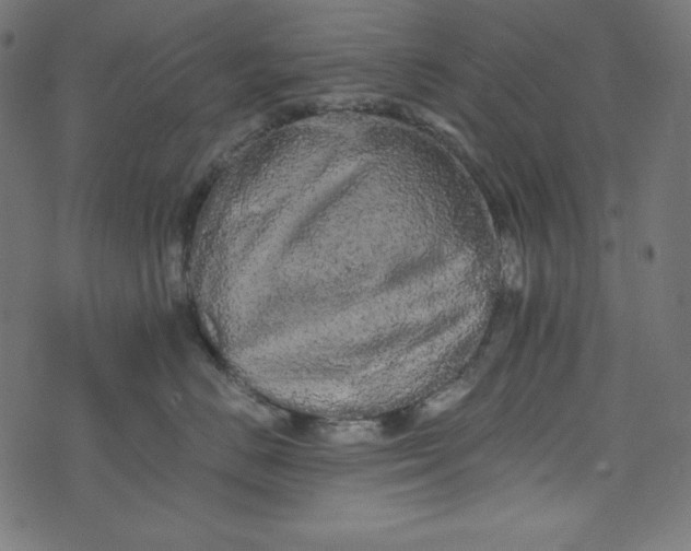 X0000073700670200608171114