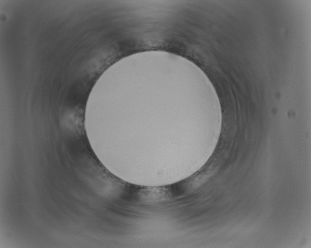 X0000073700672200608171114