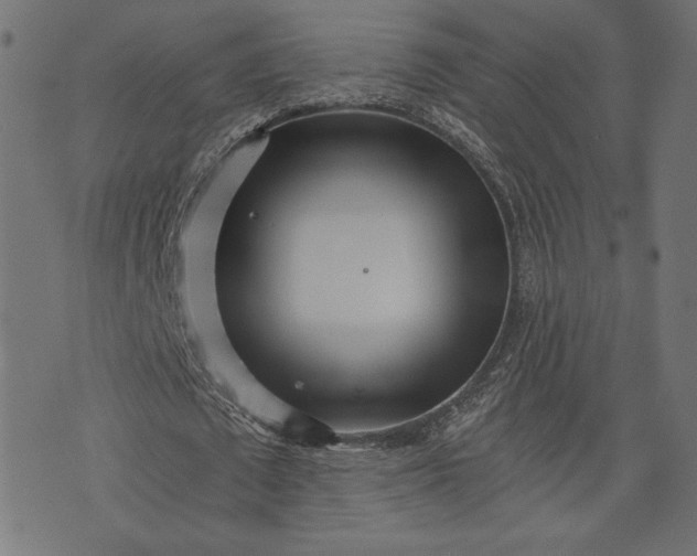 X0000073700673200608171114