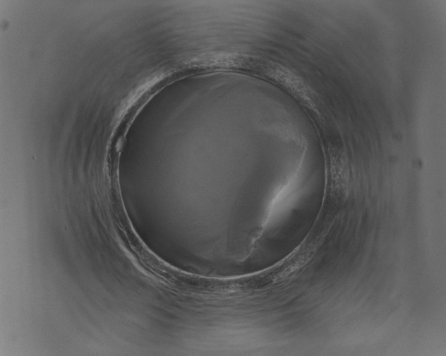 X0000073700674200608171114