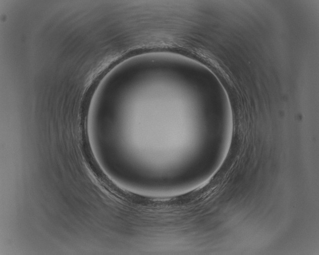 X0000073700677200608171114