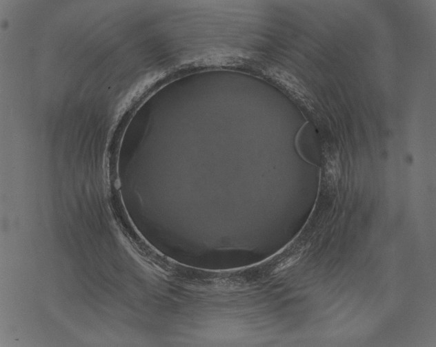 X0000073700678200608171114