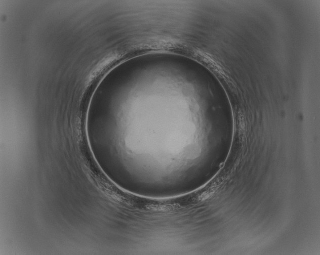 X0000073700679200608171114