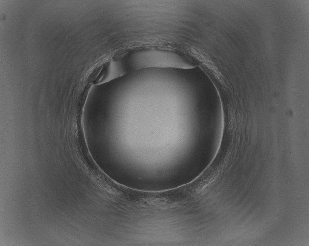 X0000073700681200608171113